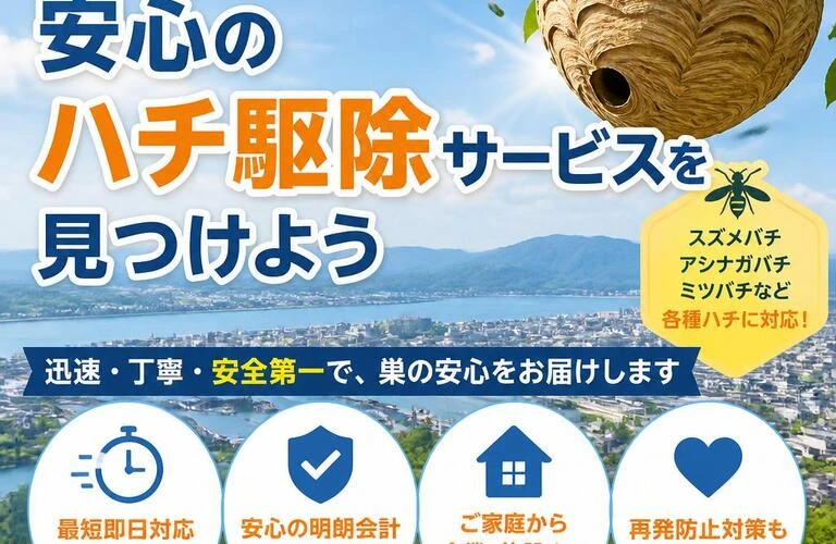 八代市で安心のハチ駆除サービスを見つけよう