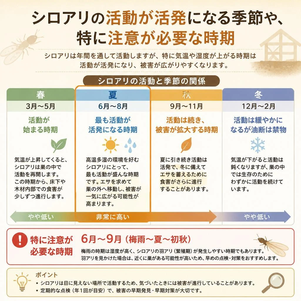 八代市におけるシロアリの発生シーズン